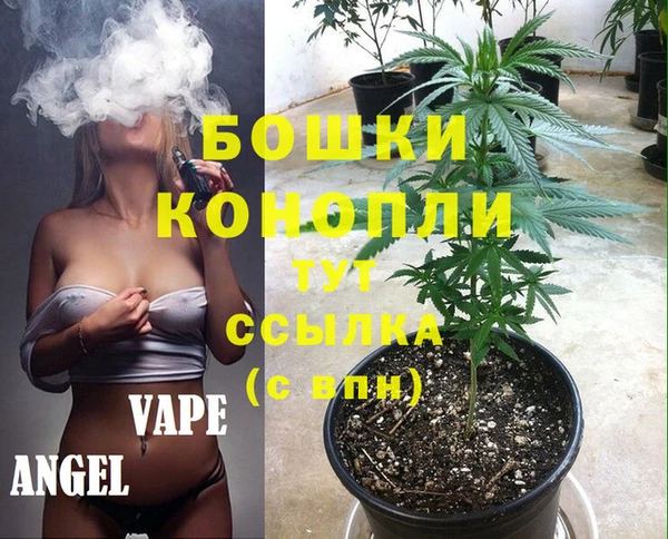 прущие крисы Белокуриха